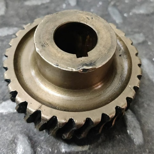 Golden Bronze Worm Gear